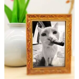 Funny White Cat Smoking Cigar Miniature Gold Framed Art Refrigerator Magnet